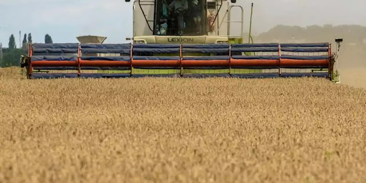 Céréales ukrainiennes : Bruxelles trouve un accord pour apaiser les tensions