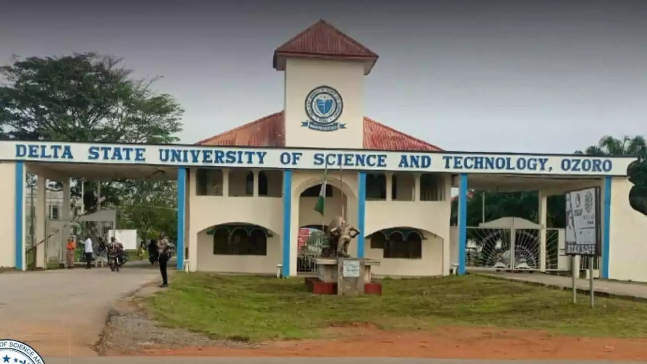 The Story Behind Delta’s New Three Varsities, Technical Schools Transformation