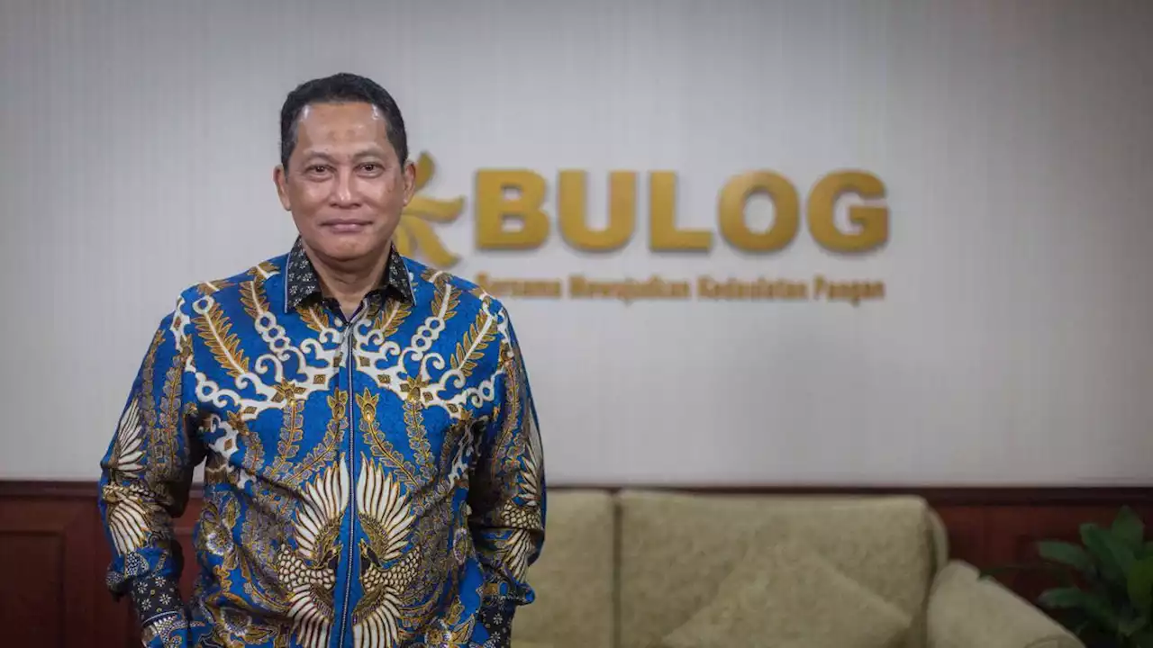 Profil Buwas, Mantan Kabareskrim Polri yang Jadi Dirut Perum Bulog 2 Periode