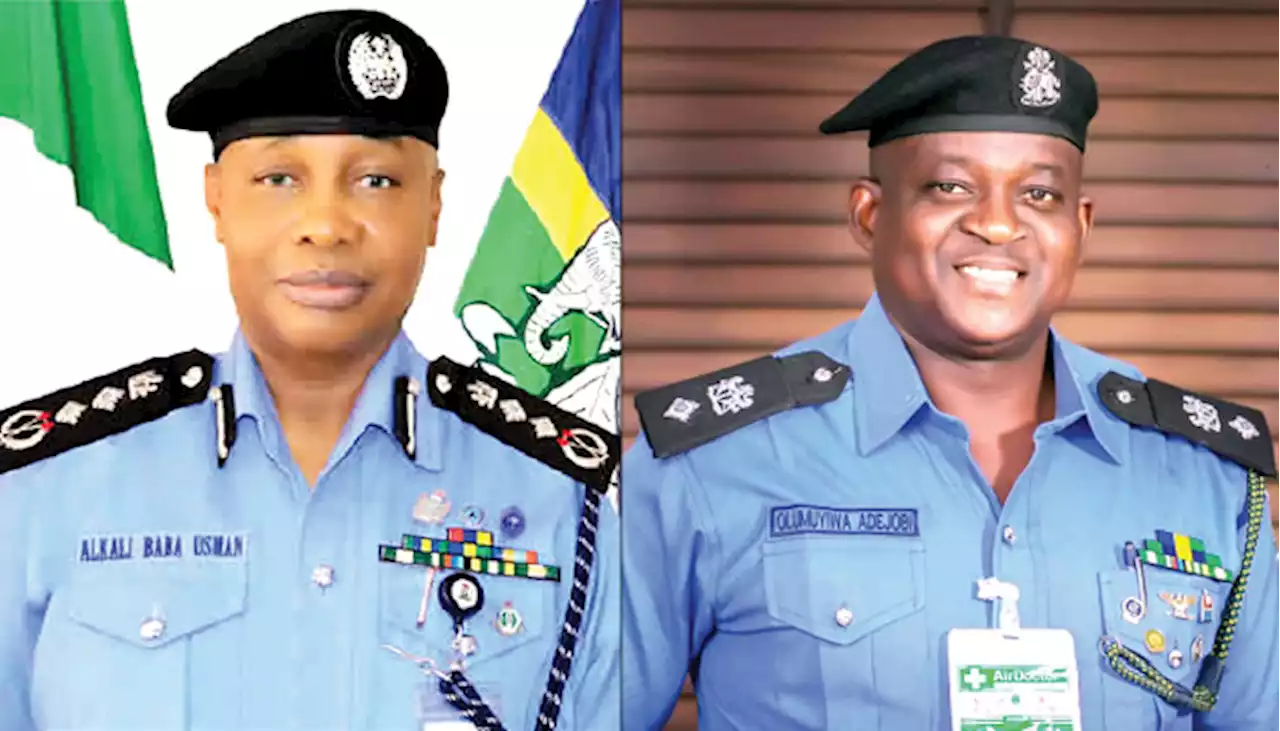 Nigerians rejoice as police go after rogue cops - Punch Newspapers