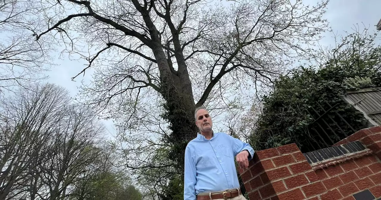 Neighbour considers moving away after row over '50m high trees'