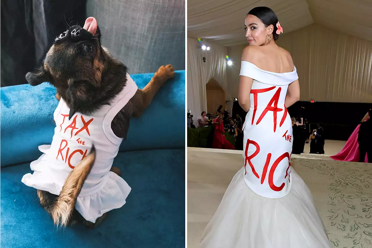 Pet gala: Coutured canines recreate celeb looks at fashion show