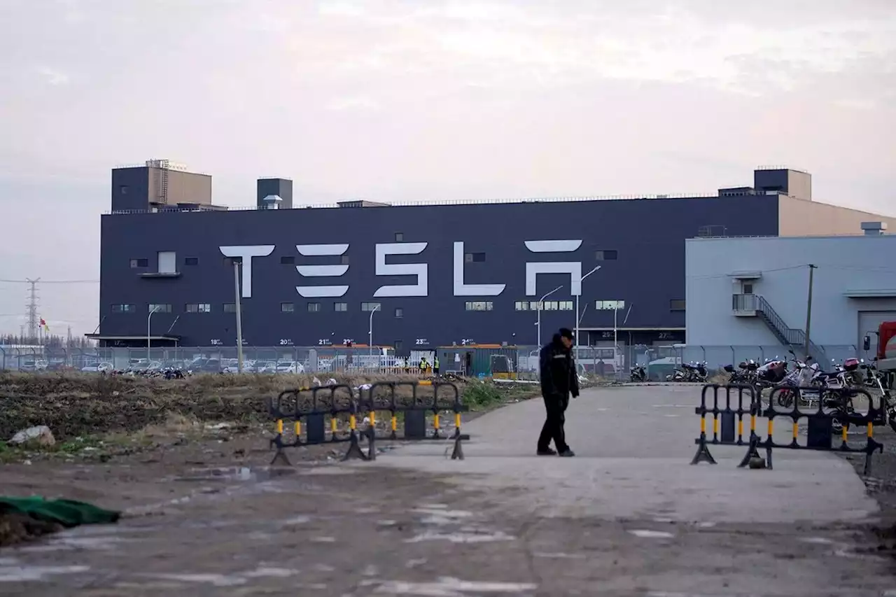 Canadian Tesla Model Y SUVs to be imported from China: source