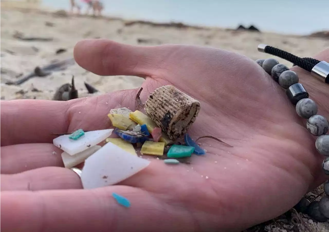 Germans, Dutch, and French call for binding EU microplastic rules