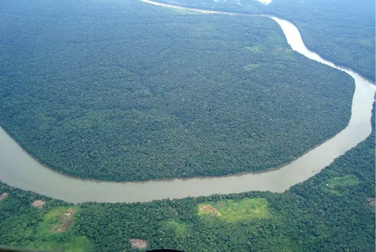 Pemerintah Brasil Serahkan Seribu Kilometer Hutan Amazon ke Masyarakat Adat |Republika Online