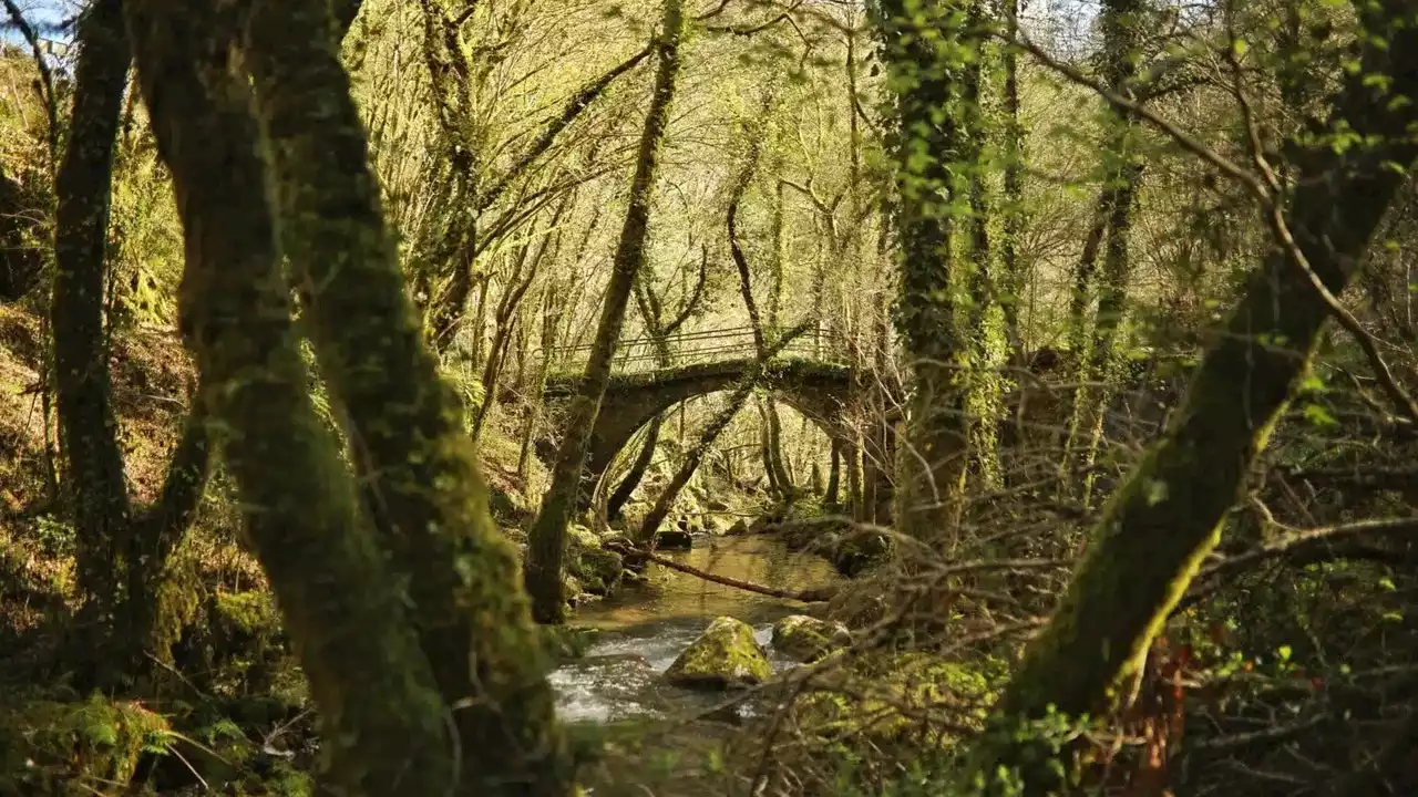 Campo Lameiro, en Pontevedra, el pueblo elegido como Capital del Turismo Rural 2023