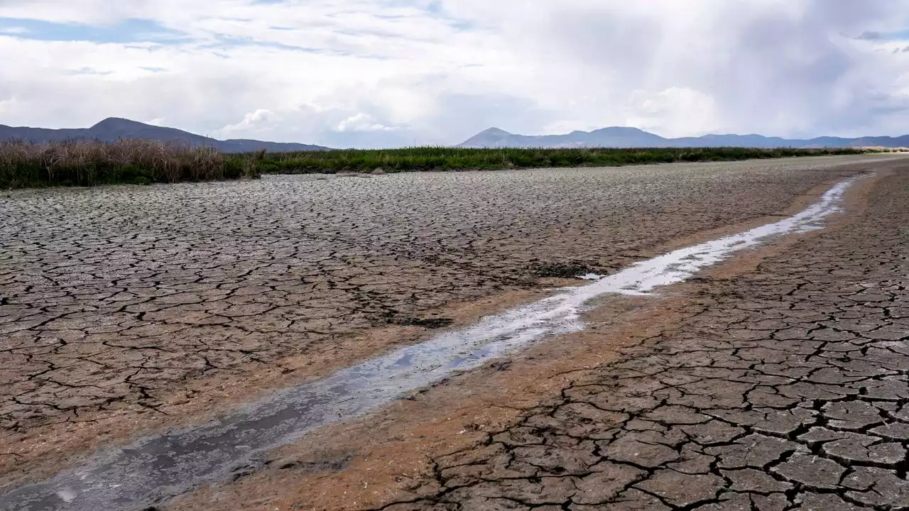 Drought: A long-term problem with a short list of solutions