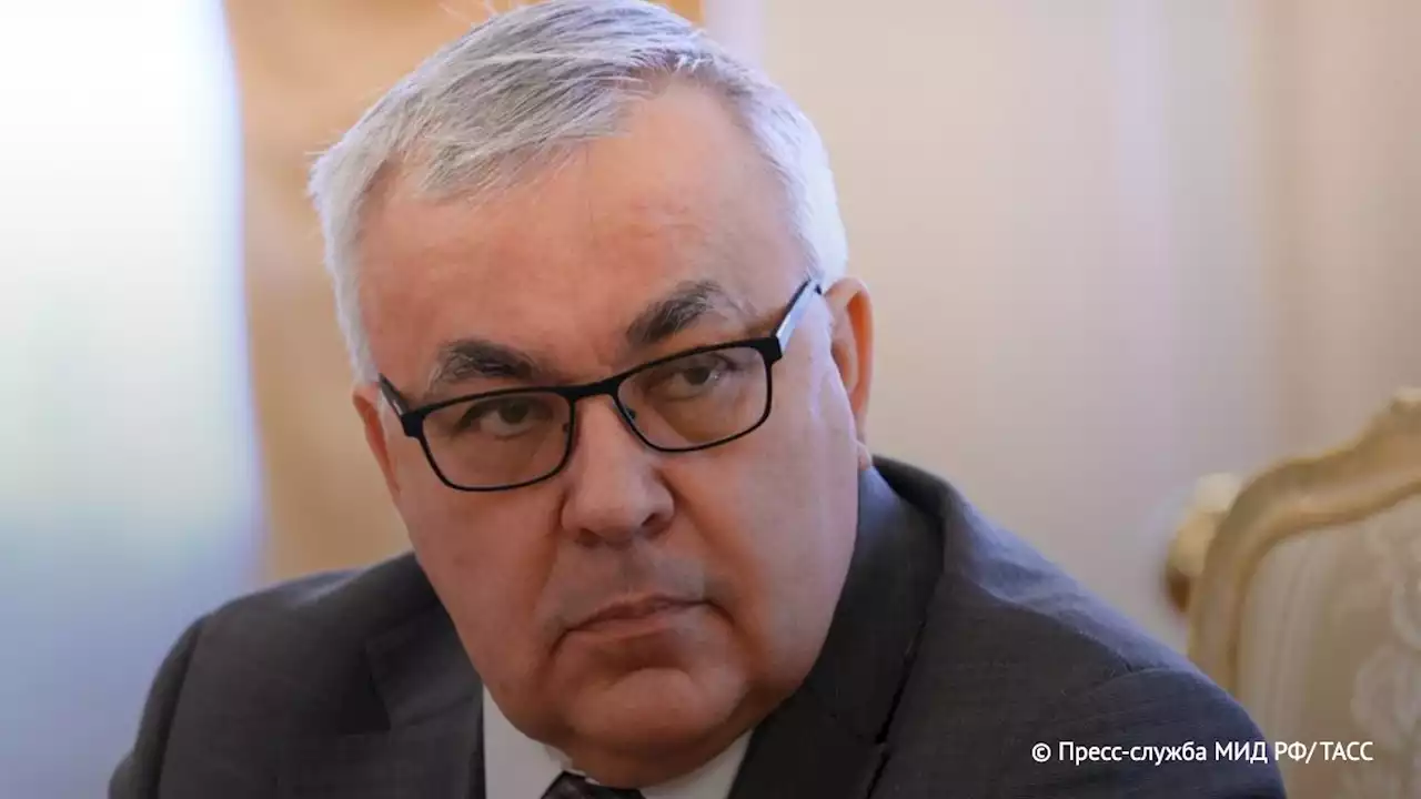 МИД РФ заявил, что Москва не пожертвует качеством инспекций в Черном море ради скорости