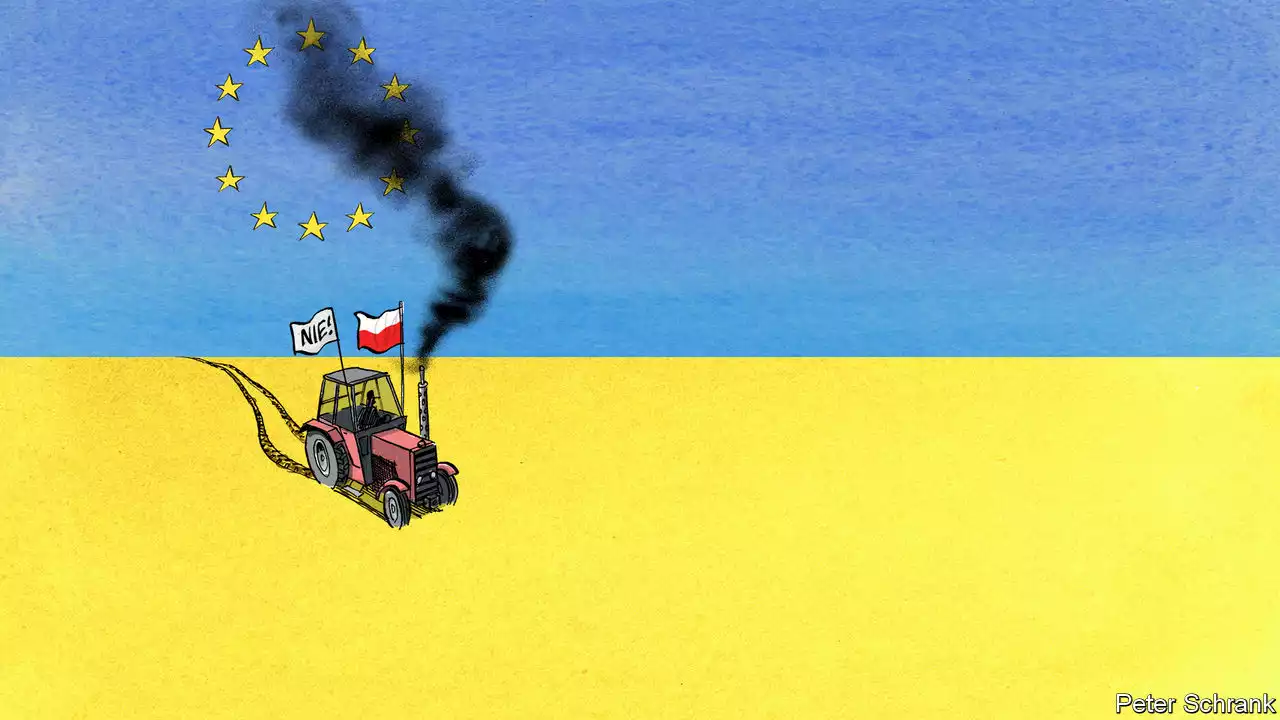 A spat over farming bodes ill for Ukraine’s future European prospects