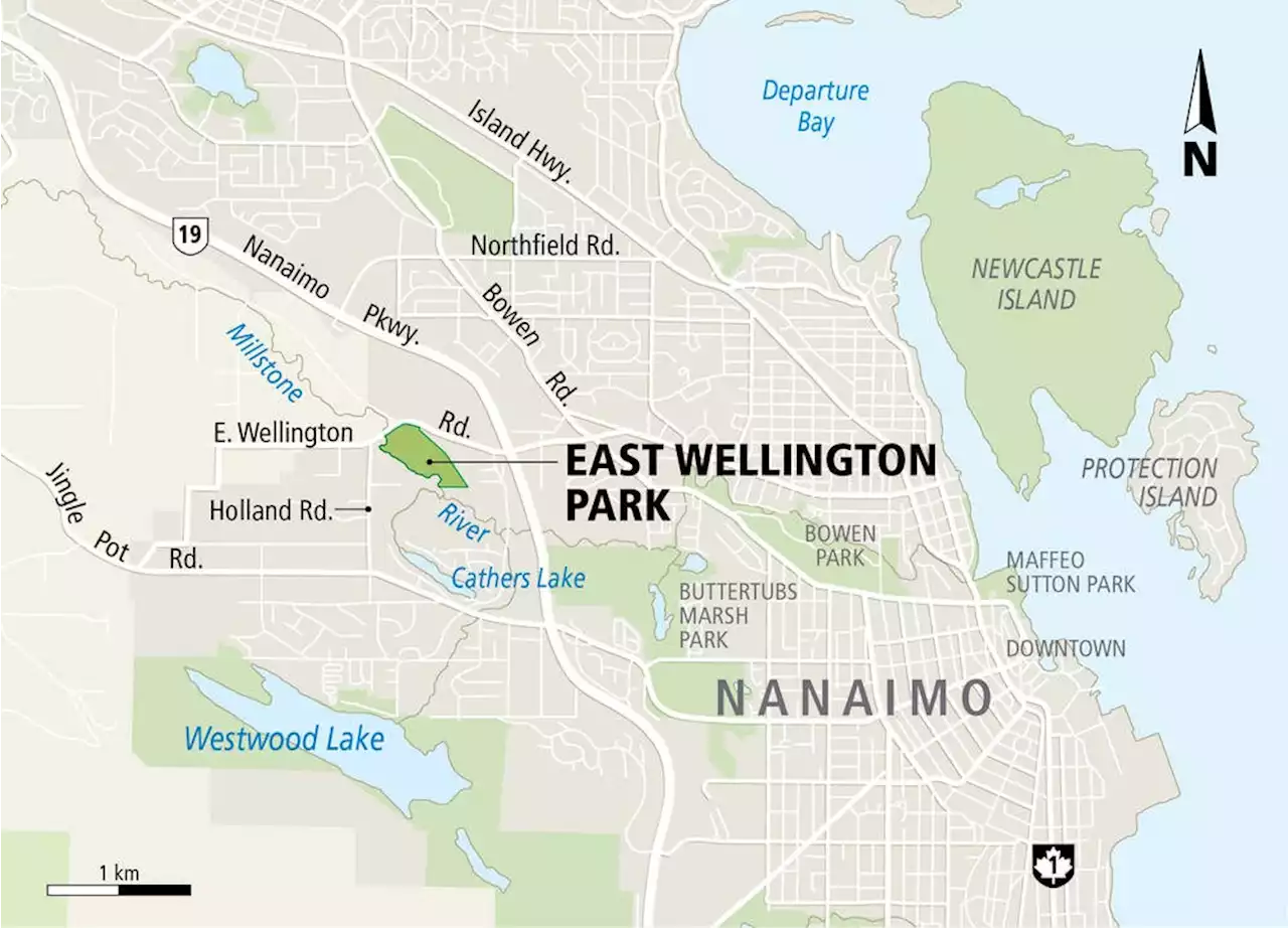 Plan approved for 30-acre Nanaimo park popular for star-gazing