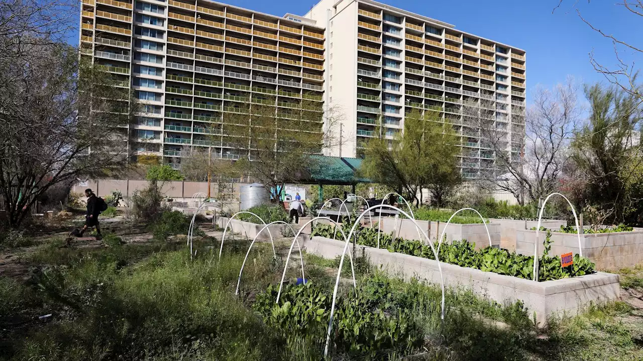 Community gardens increase food security, wellbeing for Tucsonans