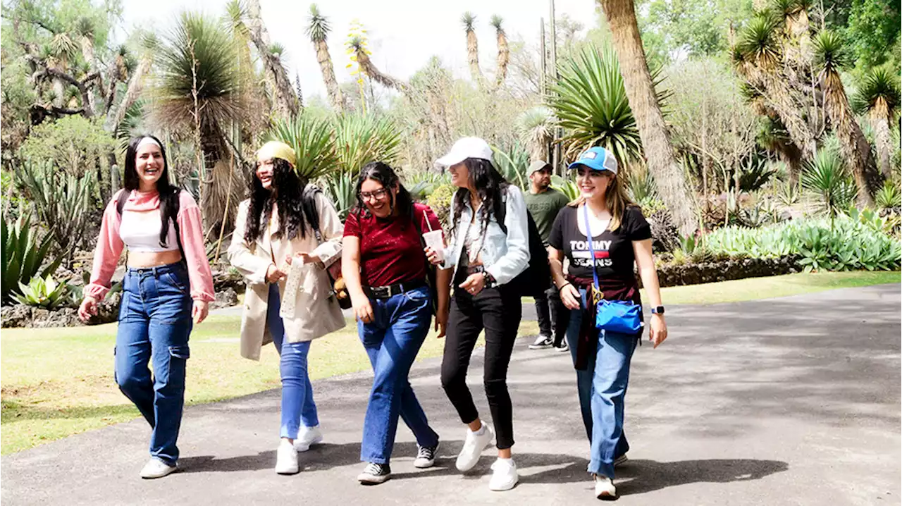 Promueven saberes, conservación y afecto por las plantas - Gaceta UNAM