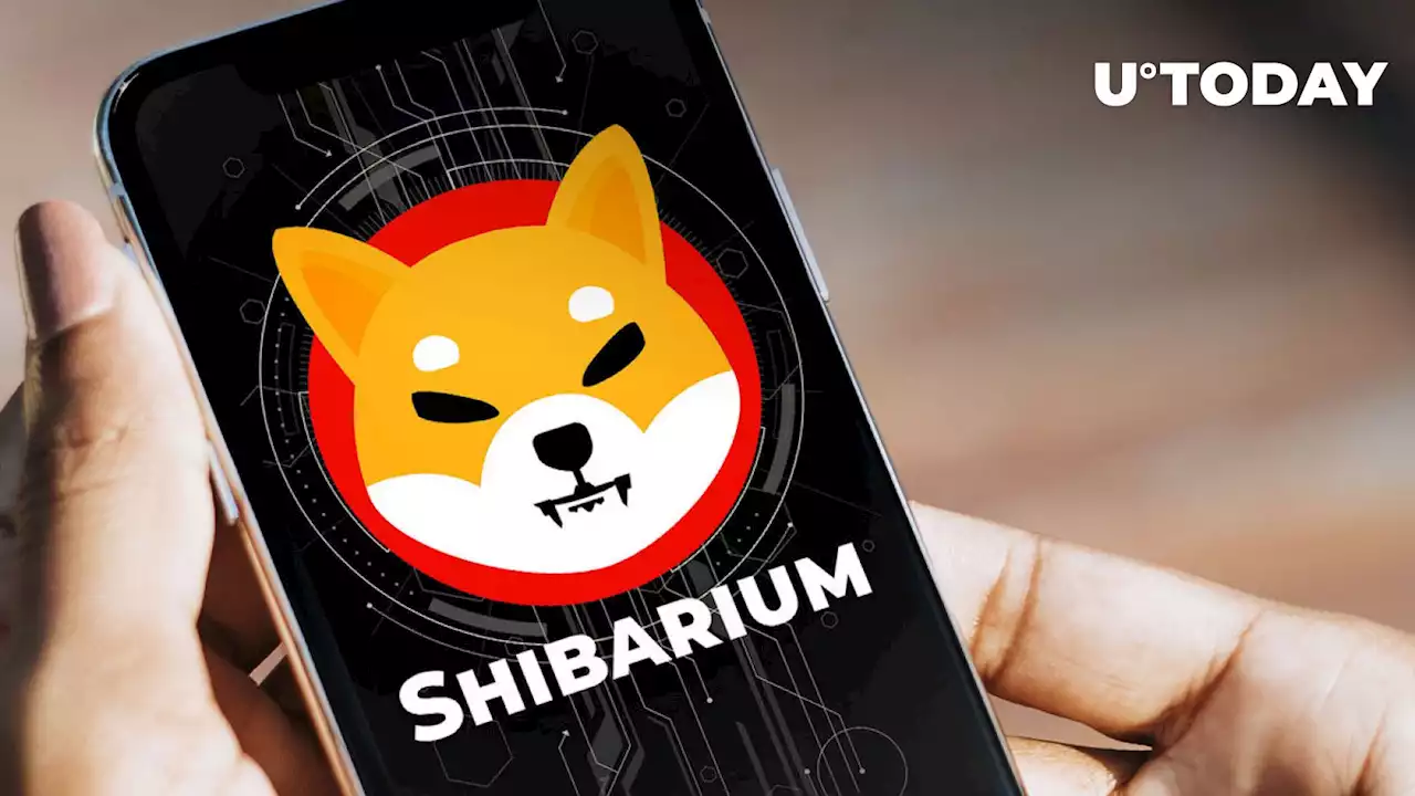 Shibarium About to Get New Crucial Feature, Here's What It Is