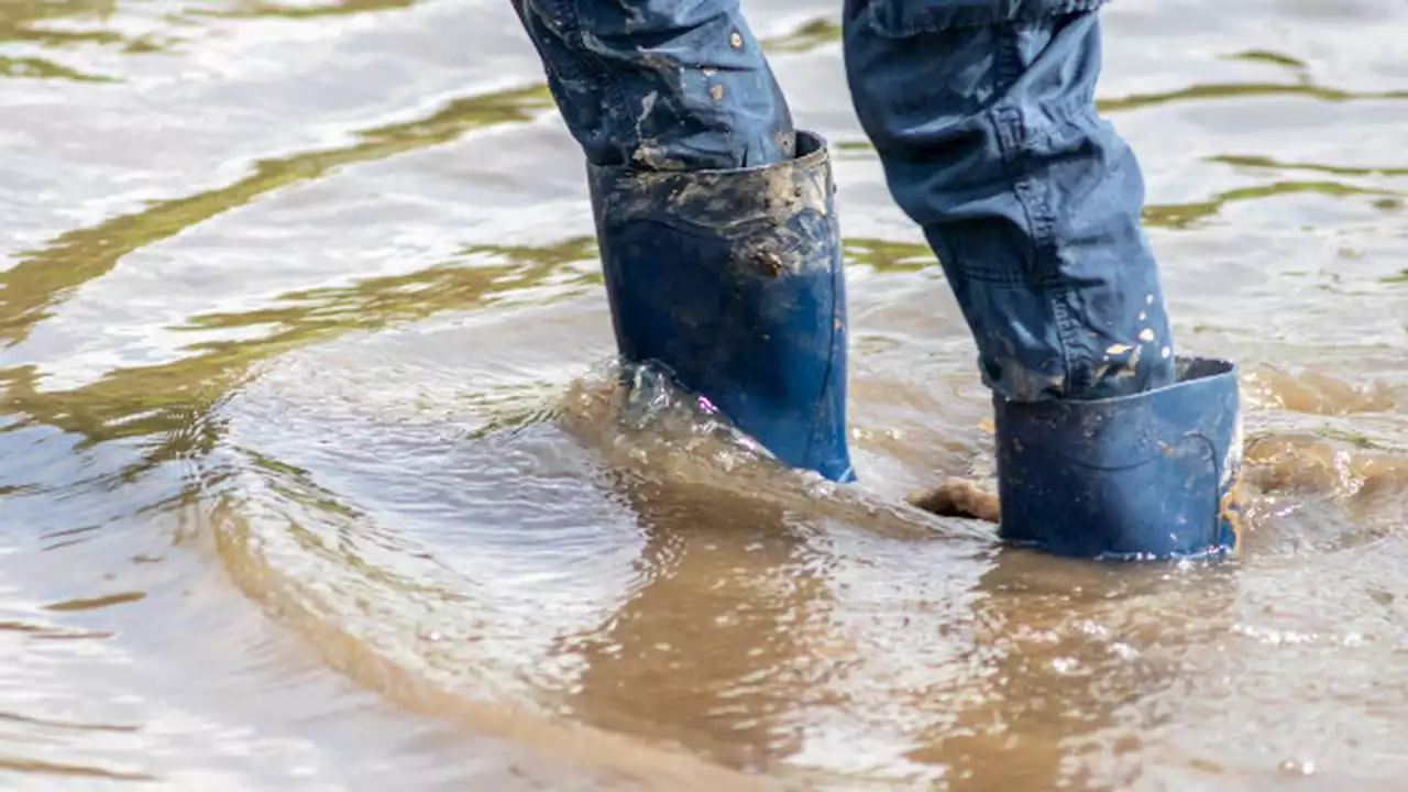 Flood threat continues from swelling Mississippi River