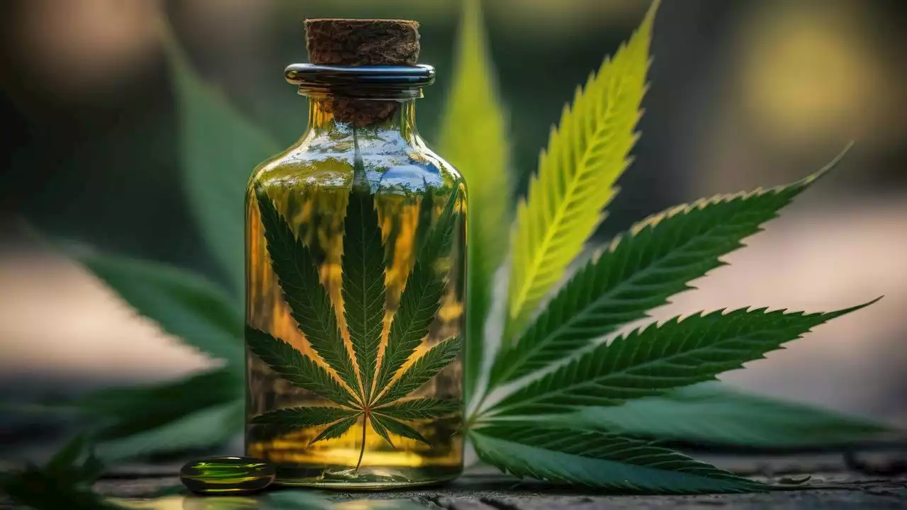 CBD: Welche Produkte mit Cannabidiol wirklich legal sind