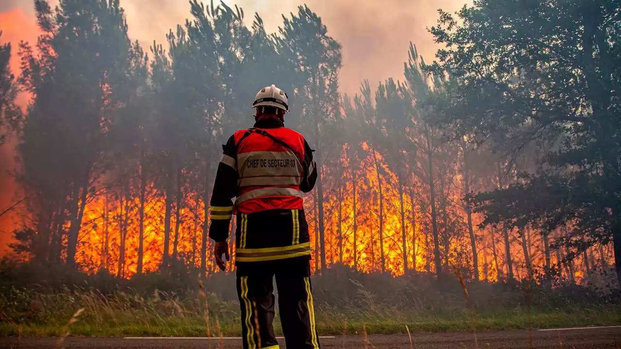 Waldbrände: Mit alternativen Methoden den Flammen trotzen