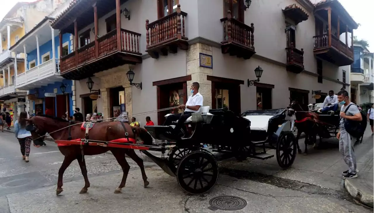 A buen paso en el Congreso, proyecto que acabaría uso de caballos ‘cocheros’ en Cartagena