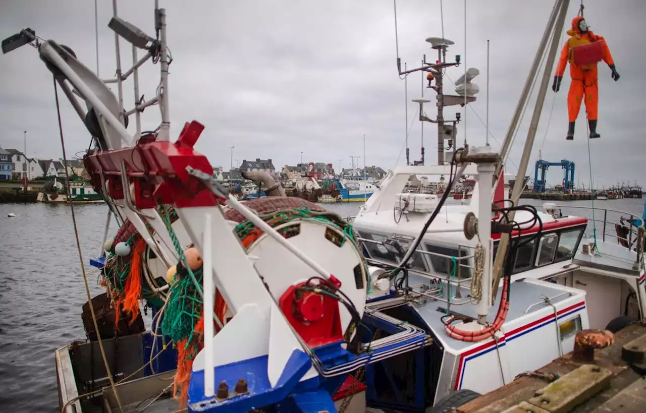 Fin du conflit, les pêcheurs français reprennent la mer