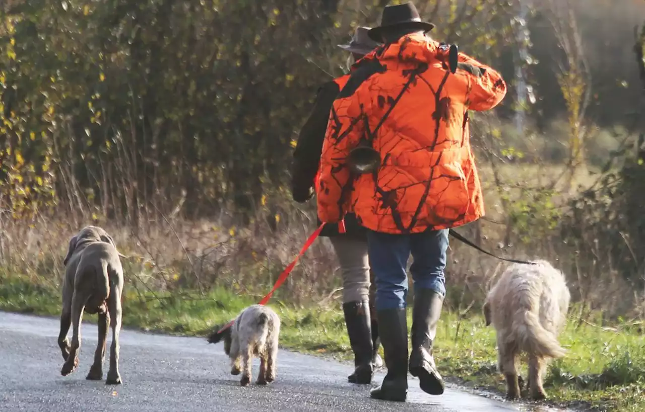 La chasse interdite le dimanche après-midi dans une commune des Vosges
