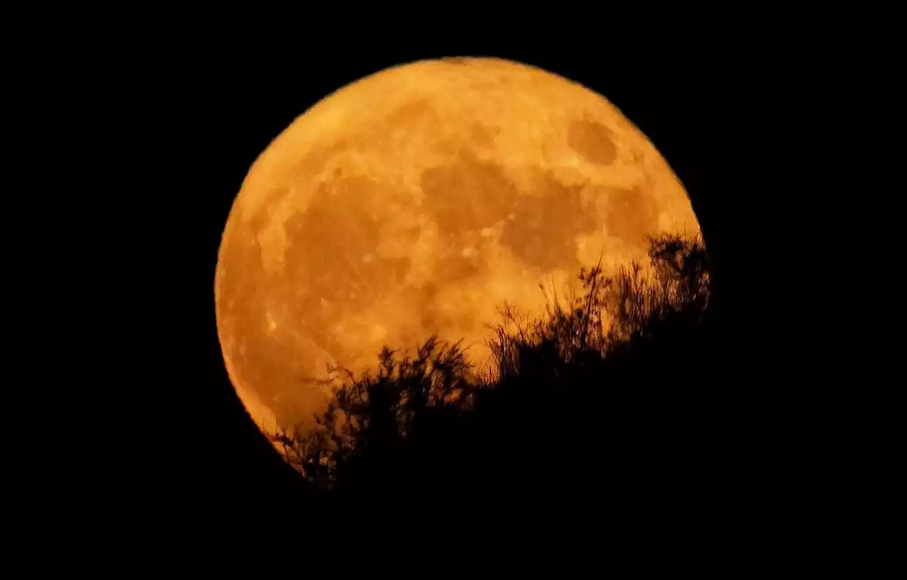 On connaît les quatre astronautes qui partiront autour de la Lune en 2024