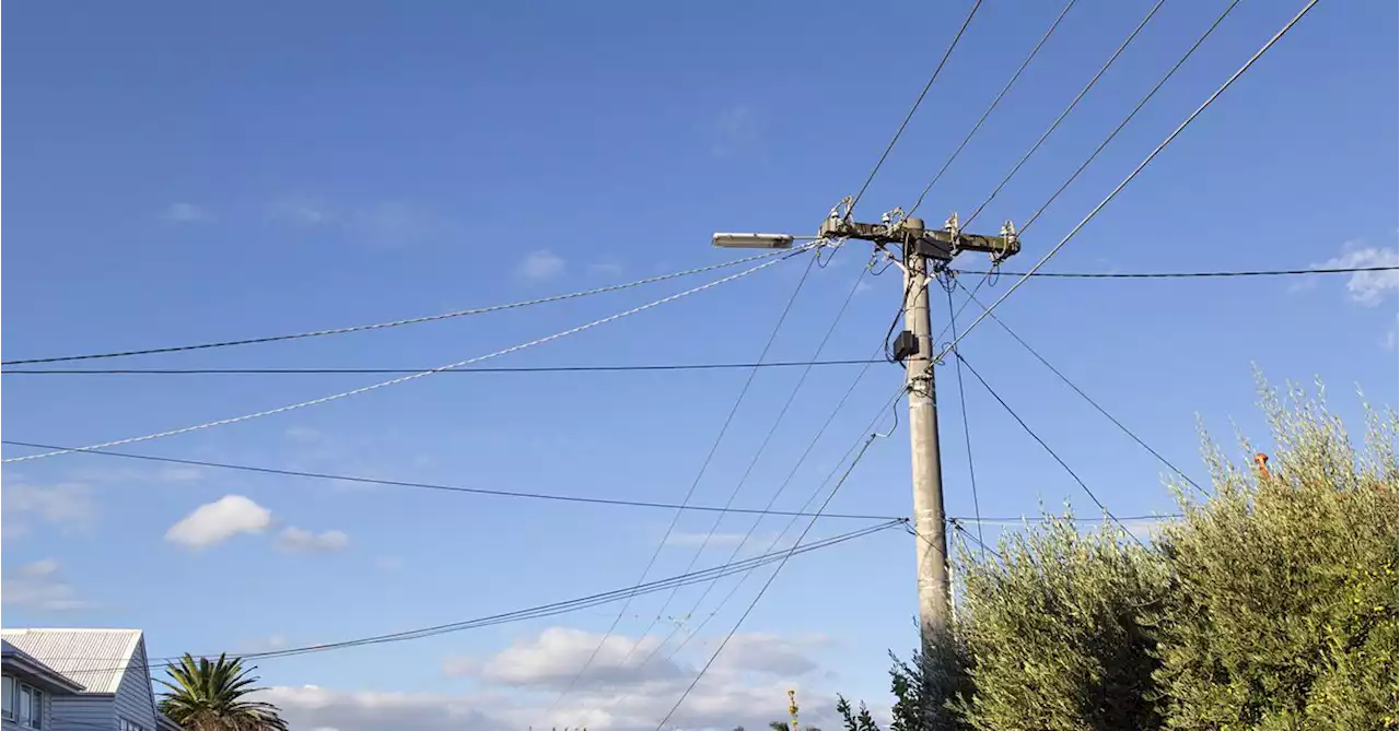 NSW election candidates cop fines for putting signs on power poles