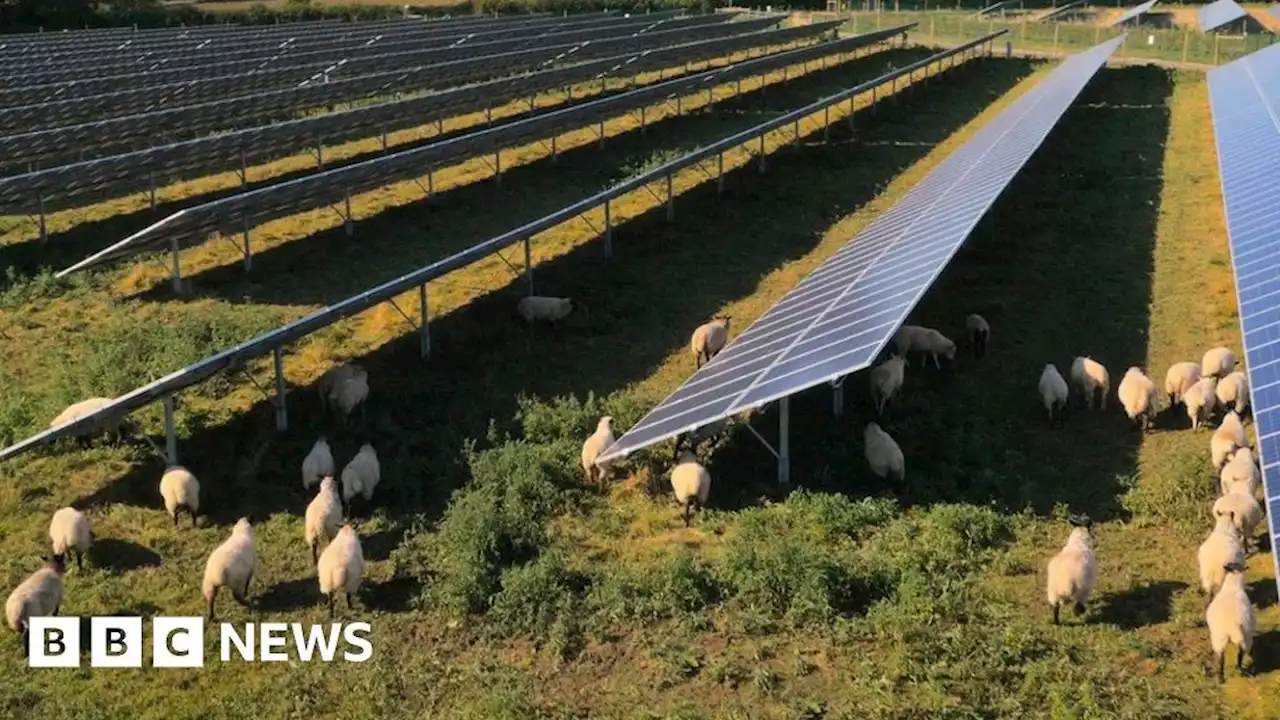 Plans unveiled for Sleaford solar farm to power 190,000 homes