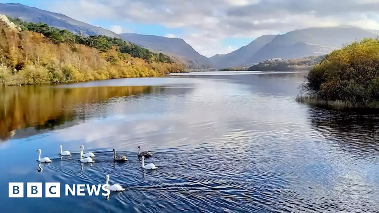 Welsh Water: Sewage dumped in Welsh waterways for 600,000 hours