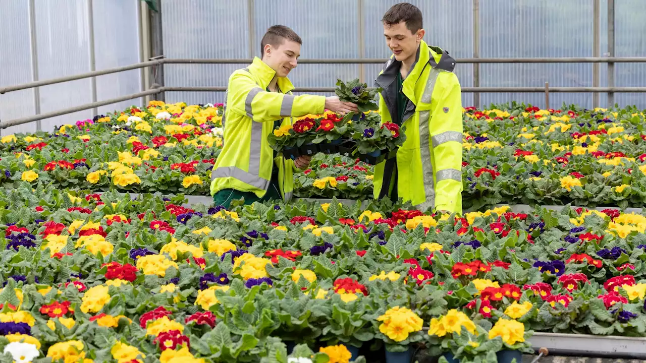 Besuch in Berlins letzter Bezirksgärtnerei – Die Kita der Blumenkinder