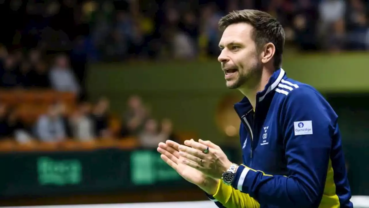 Soderling steps down as Sweden's Davis Cup captain