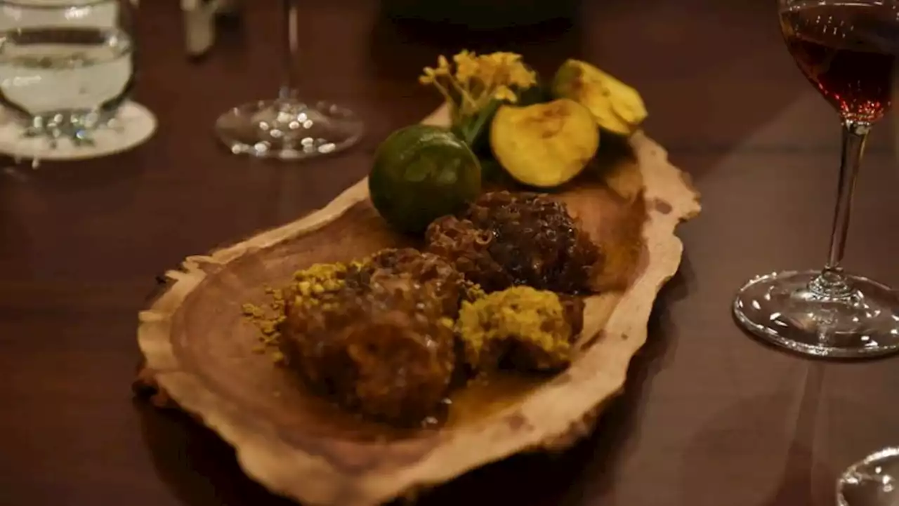 South American chefs celebrate Amazon cooking with worm chili and tree bark