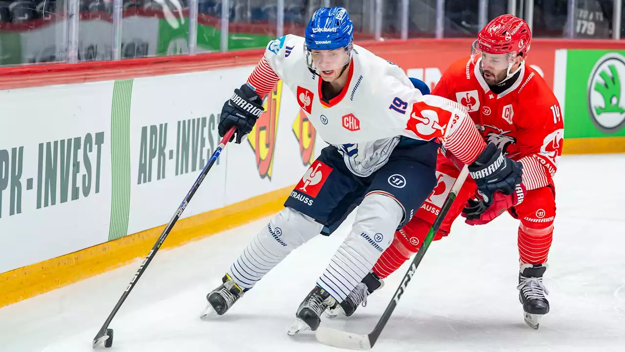 Eisbären baggern an Adler Bergmann