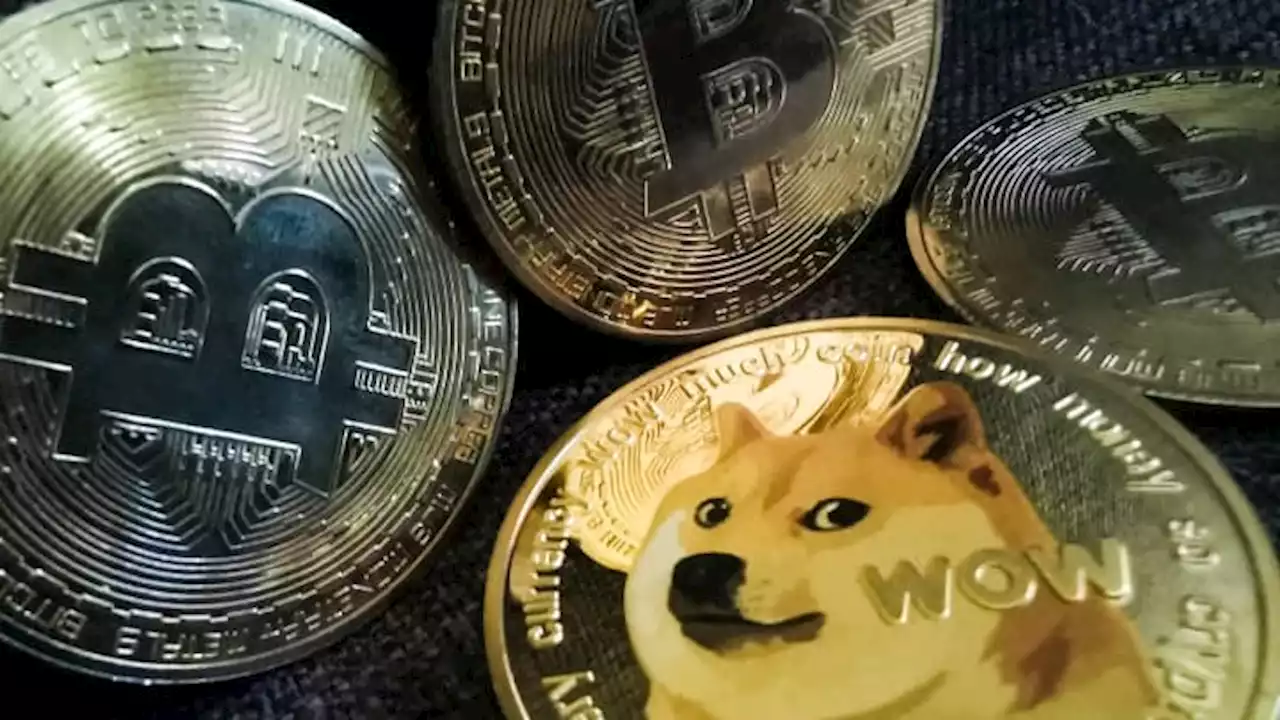 Dogecoin jumps over 30% after Musk changes Twitter logo to image of shiba inu