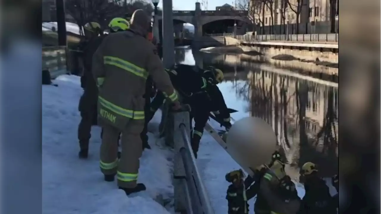 Individual on ice on Rideau Canal near NAC rescued