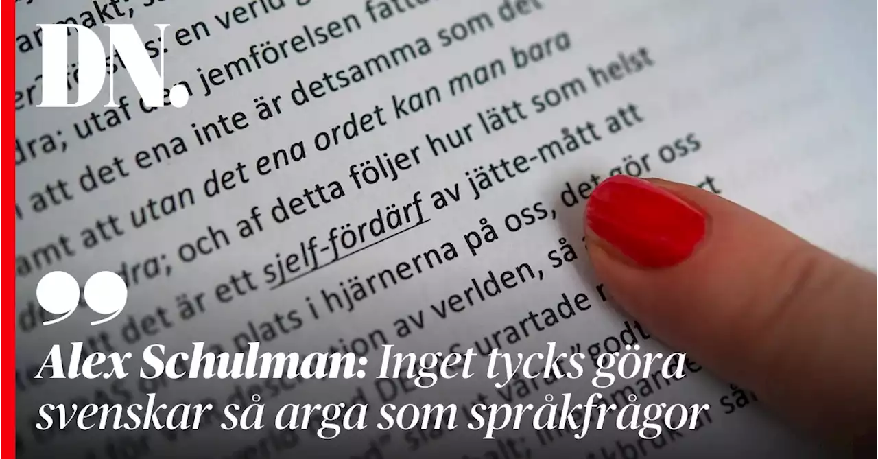 Alex Schulman: Inget tycks göra svenskar så arga som språkfrågor