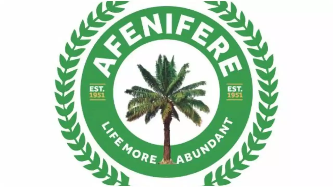 Interim govt alien to Nigeria - Afenifere