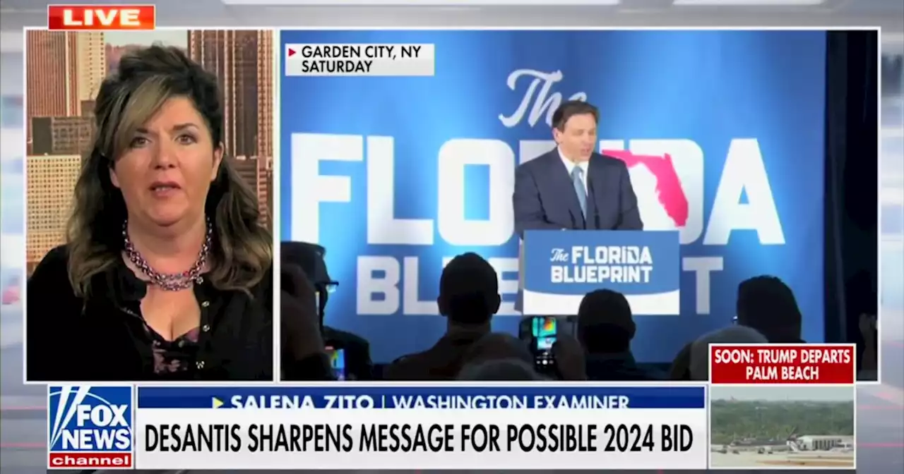 WATCH: Salena Zito says DeSantis is stressing coalition-building ability before 2024 bid