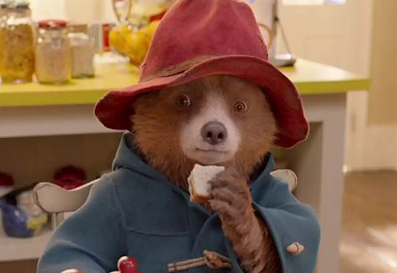 Paddington’s Back: Threequel ‘Paddington In Peru’ Will Begin Filming In July