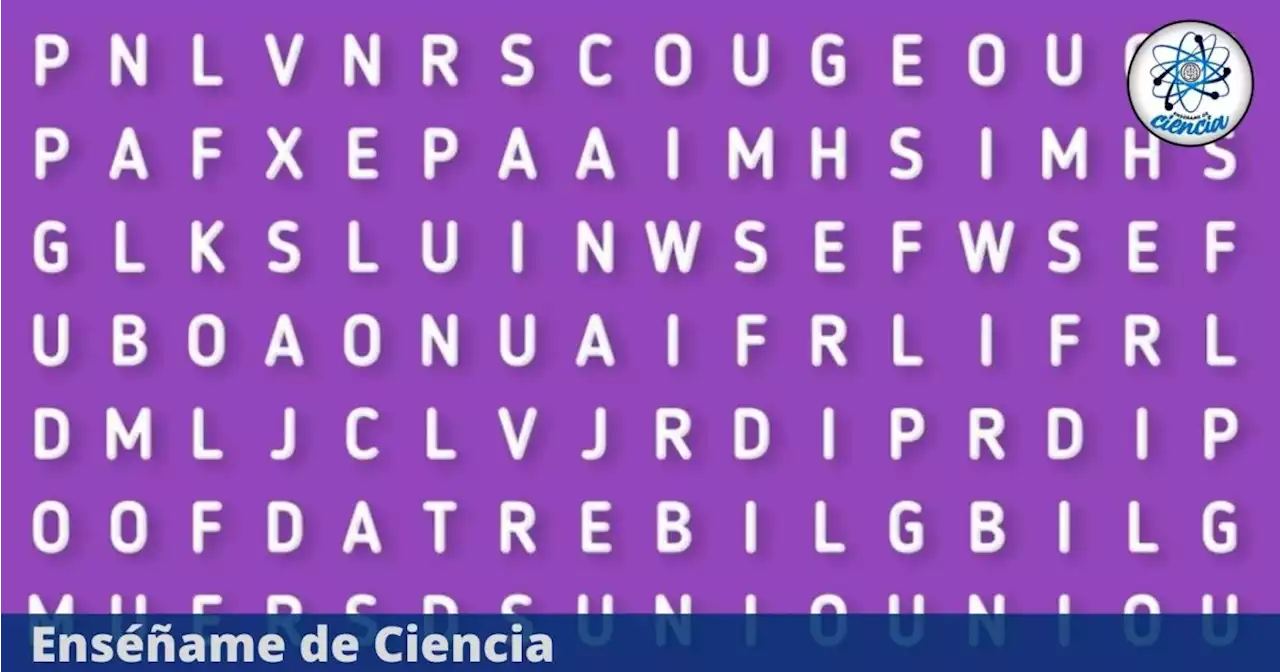 ¿Serás capaz de encontrar la palabra “ROSAS” que se oculta en la sopa de letras?