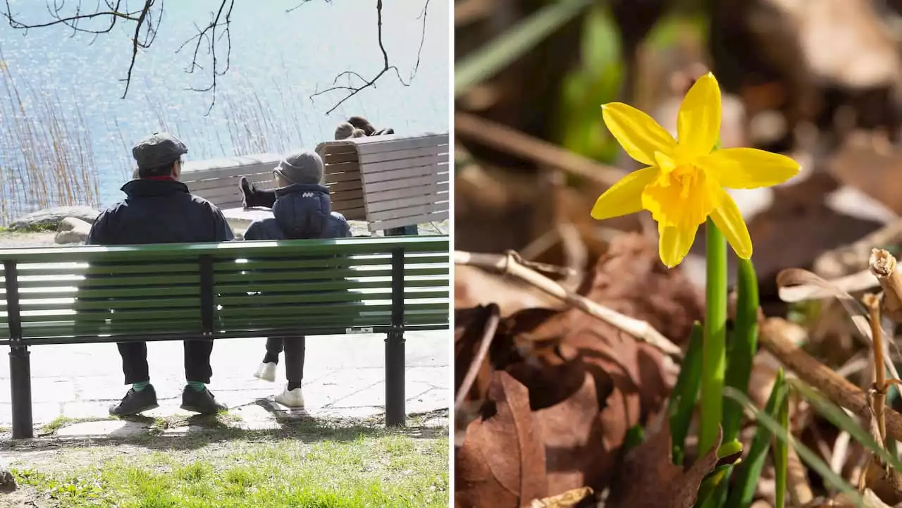 Här är störst chans till vårväder i påsk