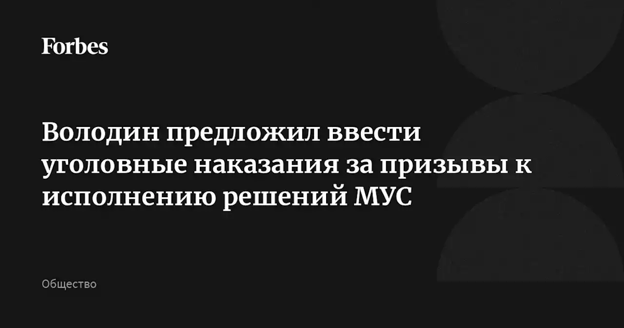 Володин предложил ввести уголовные наказания за призывы к исполнению решений МУС