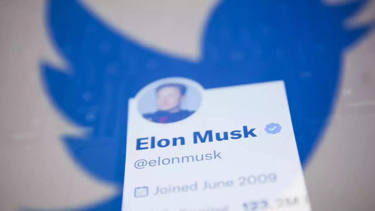 Twitter’s wild ride under Elon Musk — 1 year later