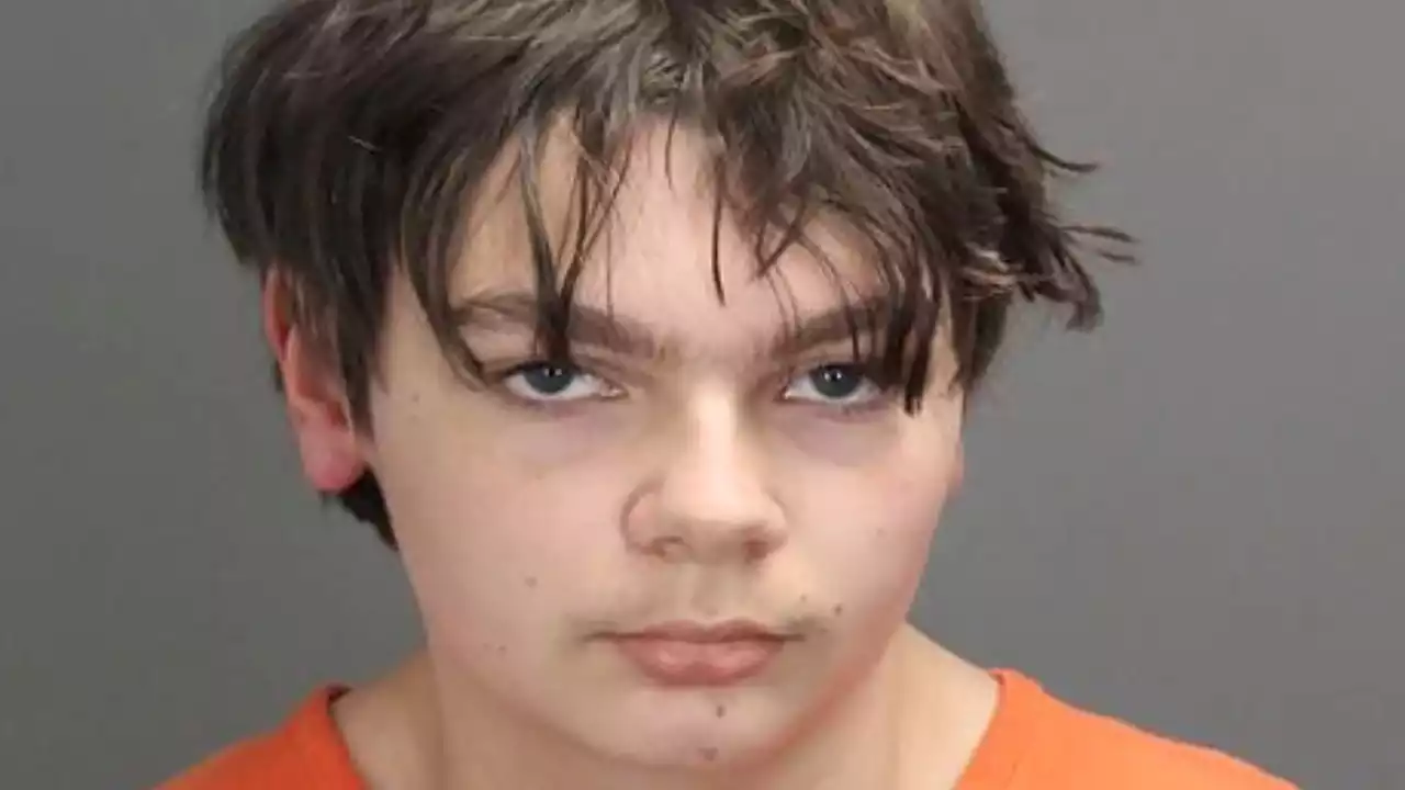 Michigan school shooter Ethan Crumbley's neighbor reveals parents left him alone to 'go out and drink'