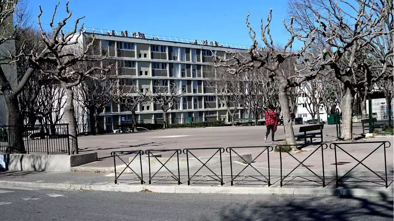 Fusillades à Marseille : quatre personnes ont été interpellées, annonce la procureure