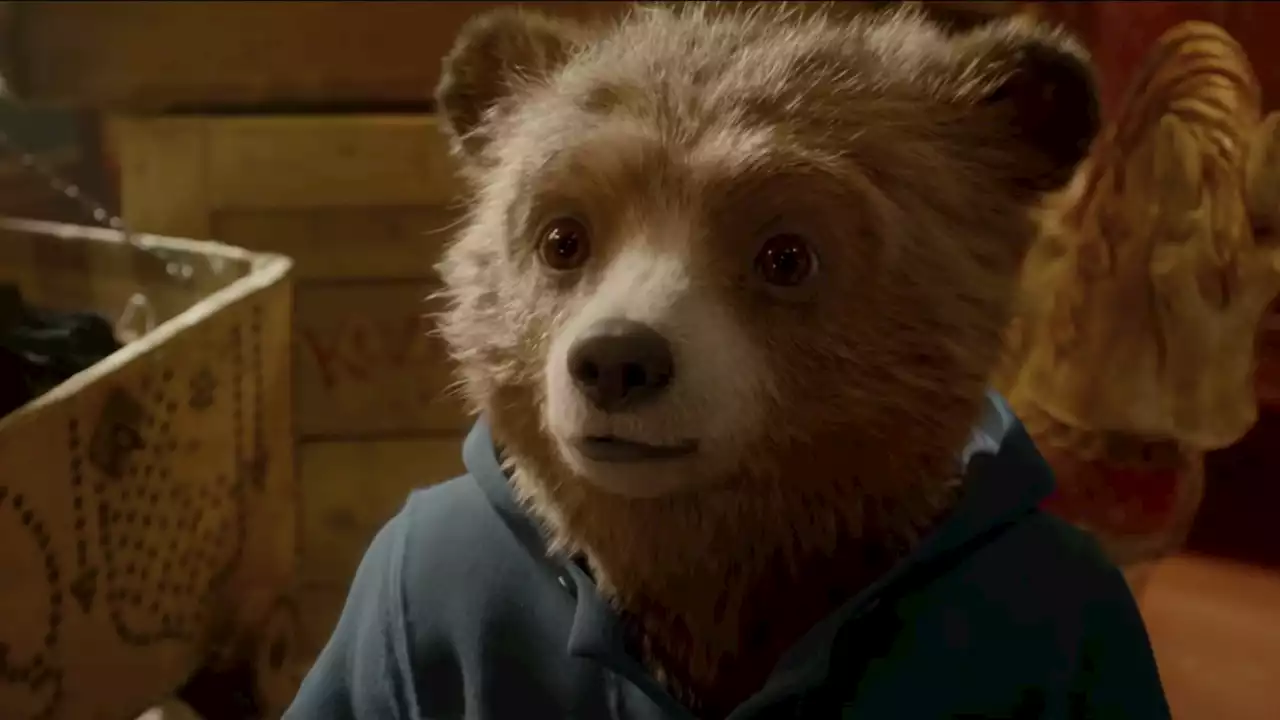 Paddington in Peru Will Bring the Beloved Bear Back for New Adventure