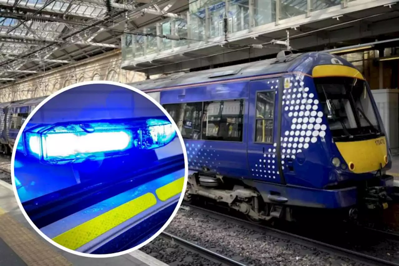 Police give update after 'trespasser spotted on tracks' disrupts trains