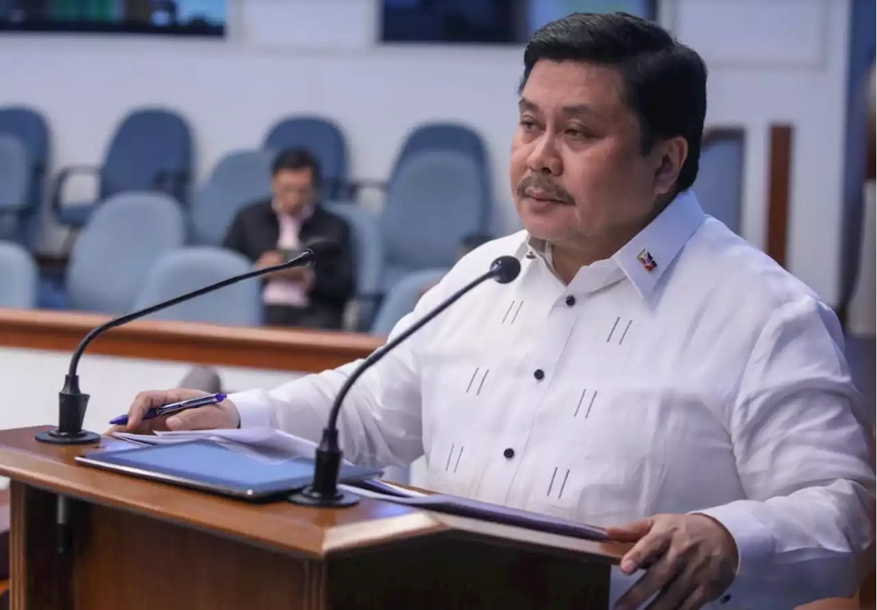 Senate defense panel to tackle MUP pension reform bills in May —Estrada