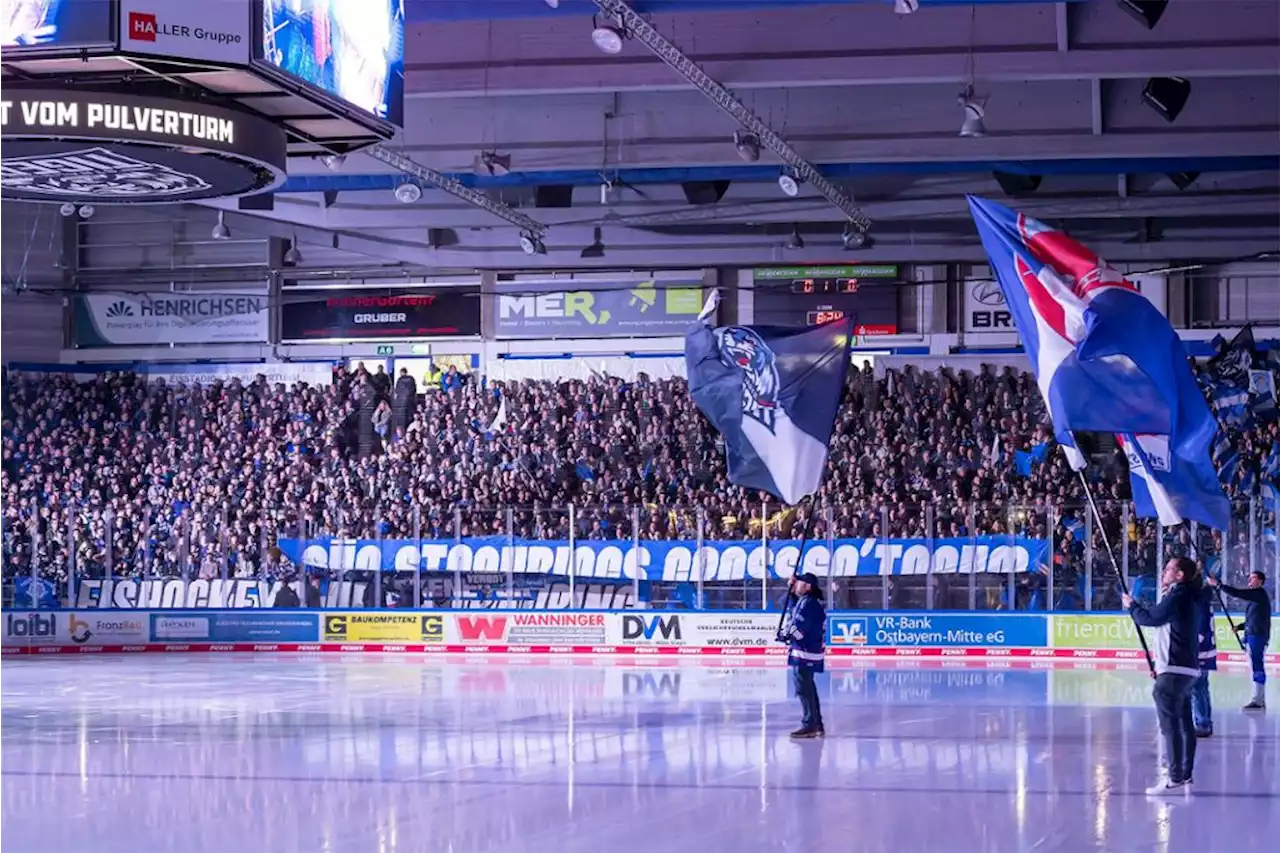 Erste Personalentscheidungen: Neun Spieler verlassen die Straubing Tigers - idowa