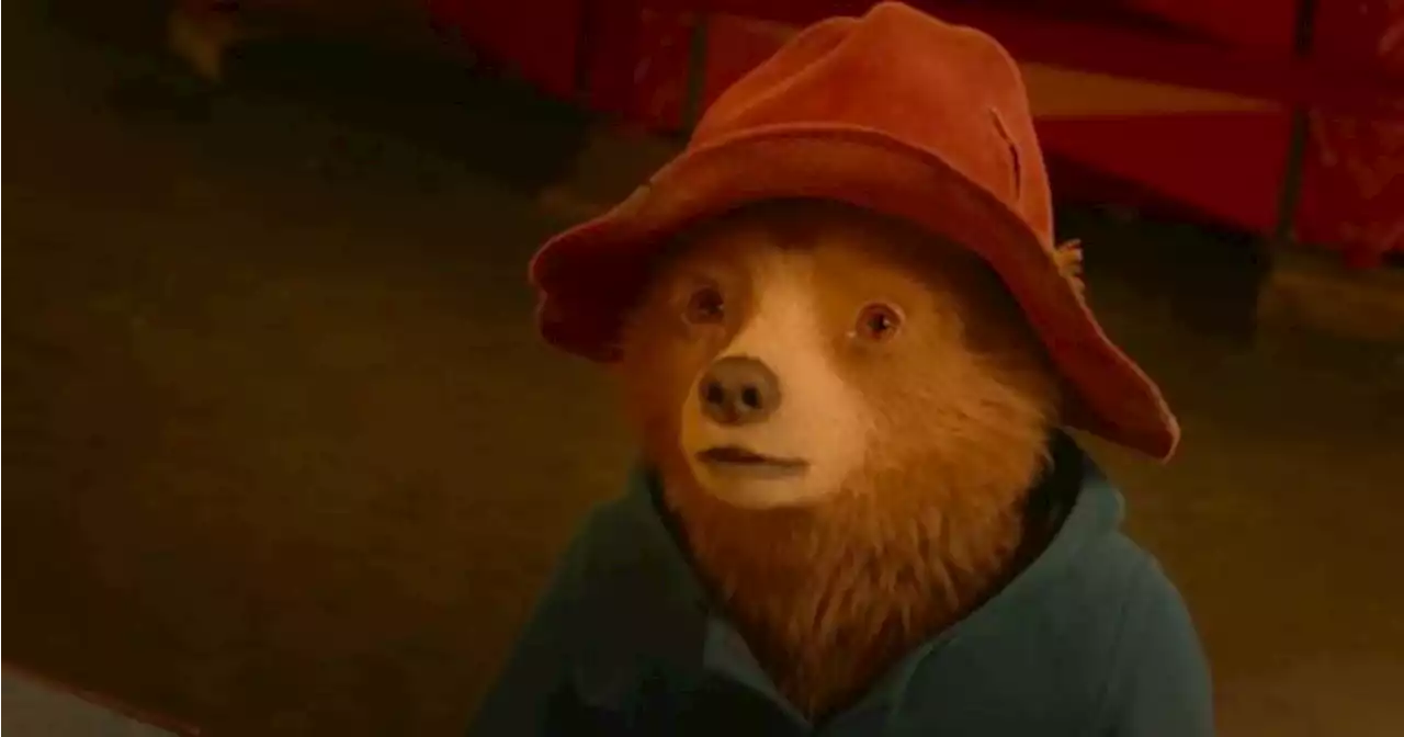 Paddington 3 will start filming this summer (and we have a great idea for the villain!) | JOE.ie