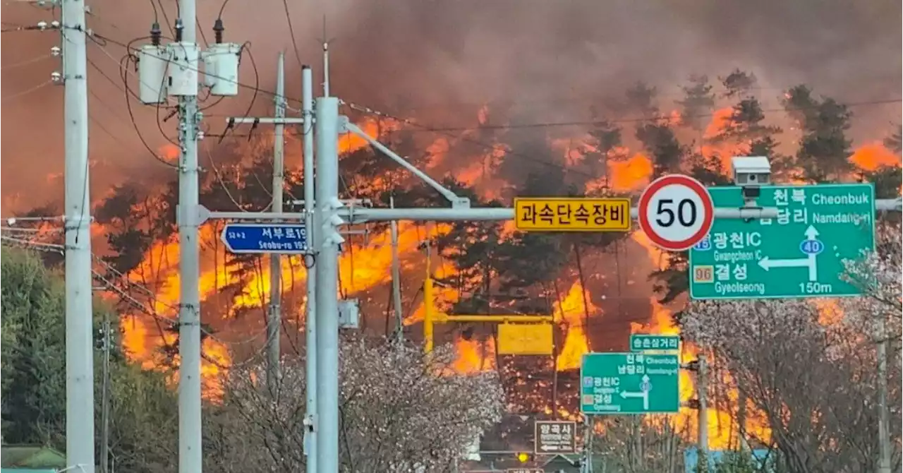 '죽는한 있어도 소놓고 못가'...다시 커진 홍성 산불, 발만 동동 | 중앙일보