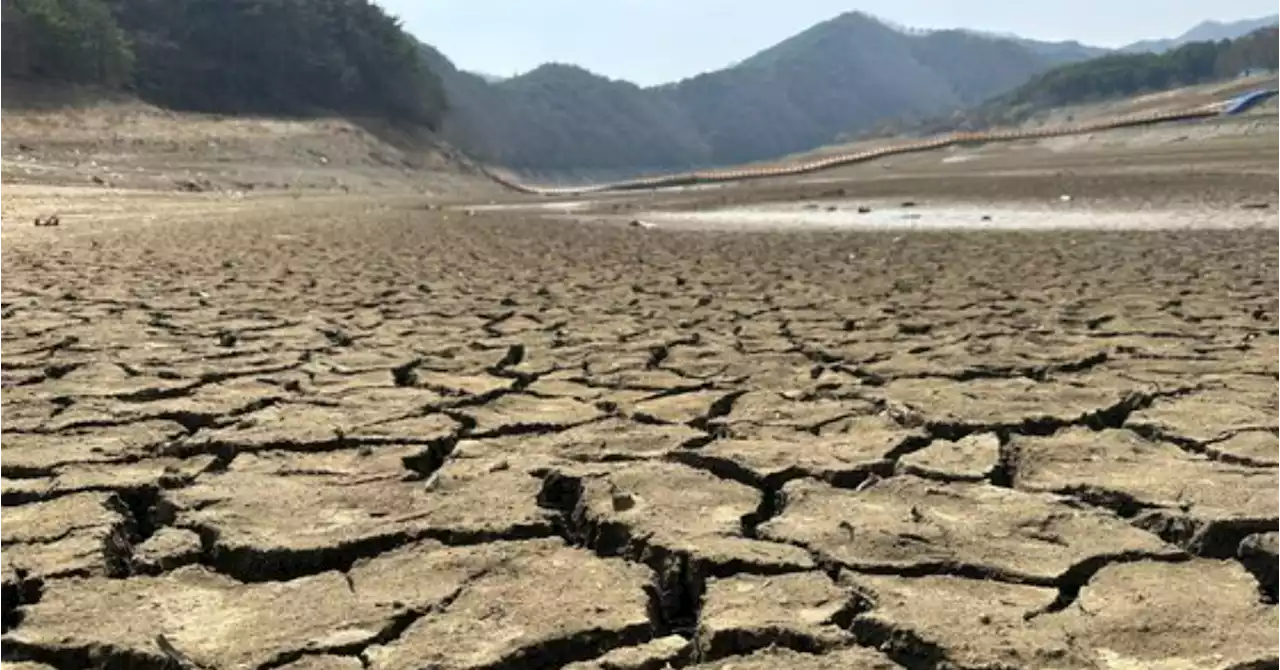 '큰 가뭄 오니 보 필요하더라'…4대강 보 '물그릇'으로 쓴다 | 중앙일보